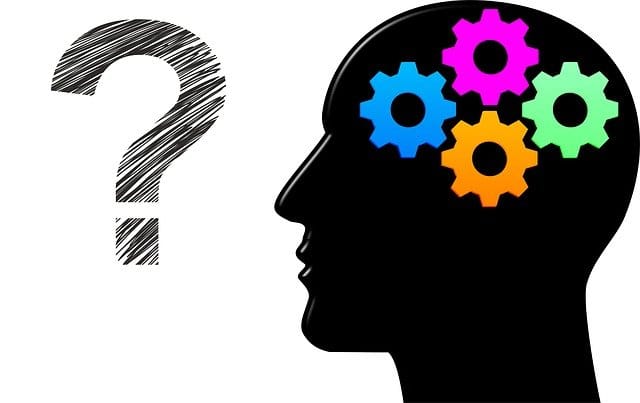 رأس إنسان بتروس ملونة داخله وعلامة استفهام بجانبه ترمز إلى خطورة هدم المبادئ العقلية