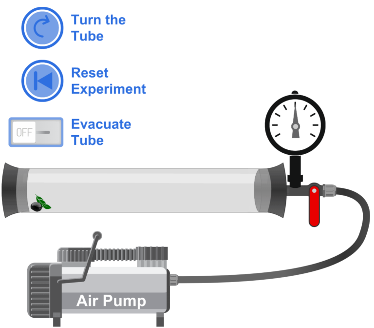 Newton's tube experiment simulation