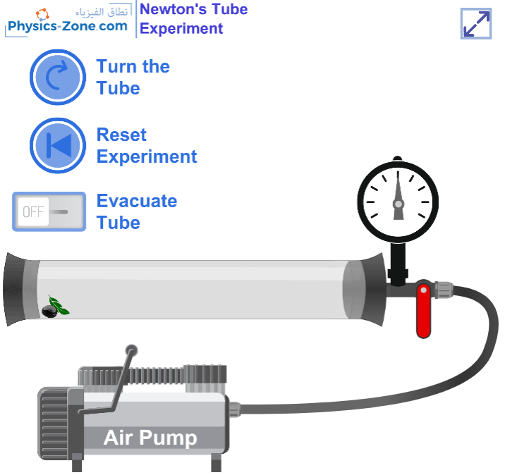 Newton's Tube Simulation